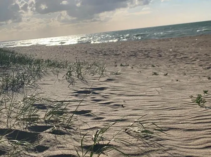 Des Marais Bed & Breakfast Merville-Franceville-Plage